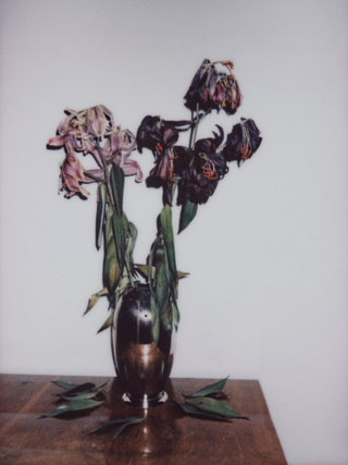 Broken Flowers, No.9, 135x100cm, 2018