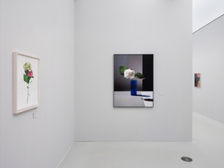 SOME FLOWERS, HW, 2014 (exhibition shot: Henning Rogge/Deichtorhallen)