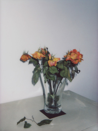 Broken Flowers, No.8, 135x100cm, 2018