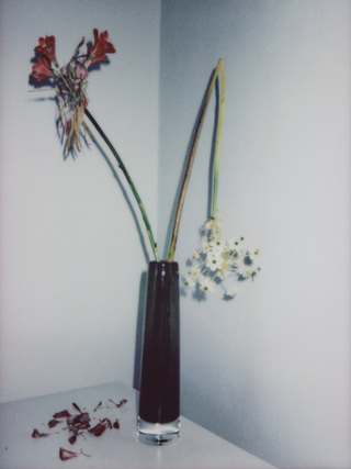 Broken Flowers, No.14, 135x100cm, 2018