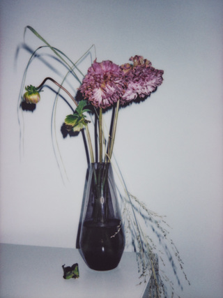 Broken Flowers, No.15, 135x100cm, 2018